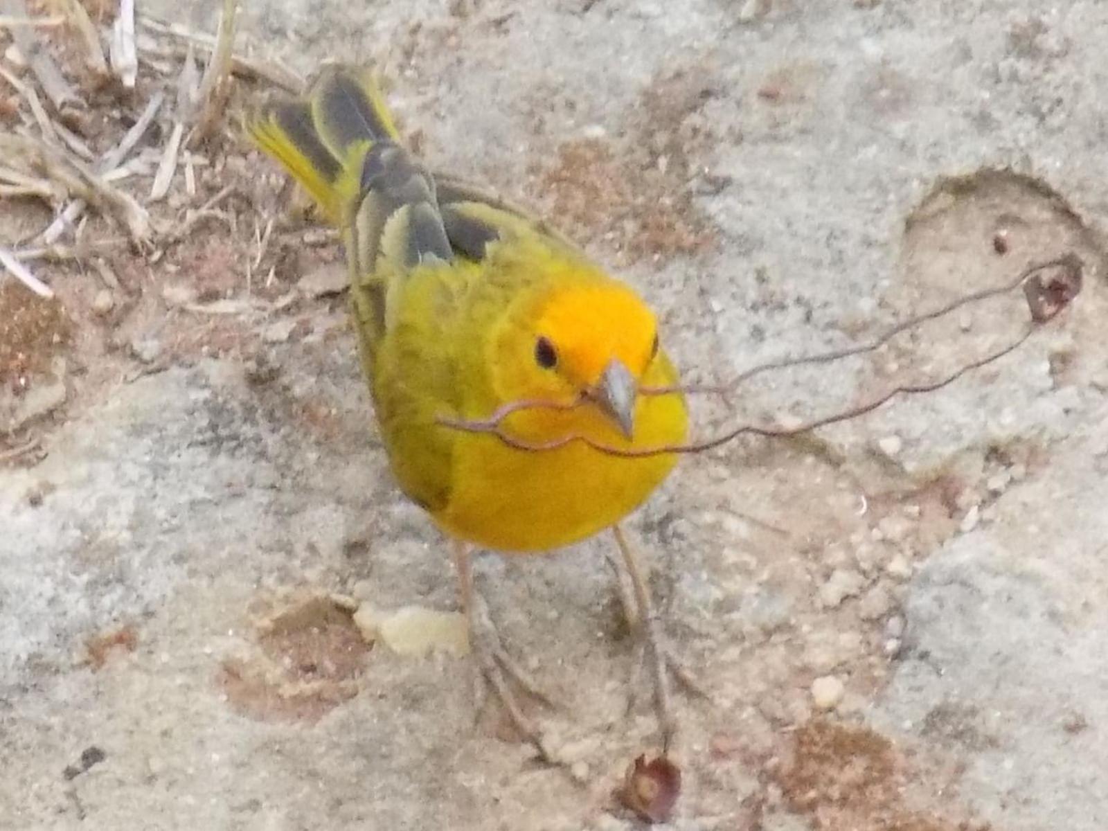 Pousada Fenix Pirenopolis Luaran gambar